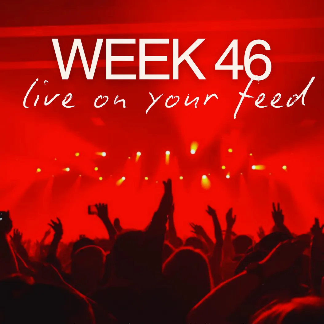 november 10 - 16, 2025